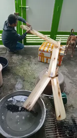 Matalino talaga ang isda #video #trending #fyp #viral 