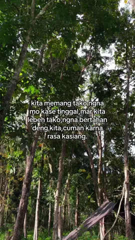 Hhe#manado #fyppppppppppppppppppppppp #masukberandafyp #minahasatenggara #kotamobagu 