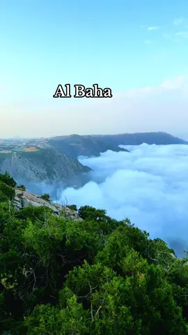 #foryou #albaha #saudiarabia #trending #jeddah 