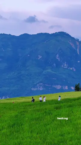 Thảo Nguyên Suôi Thầu .#nkaujhmoob #nkaujkhosiab #taybac #canhdep #dulich 