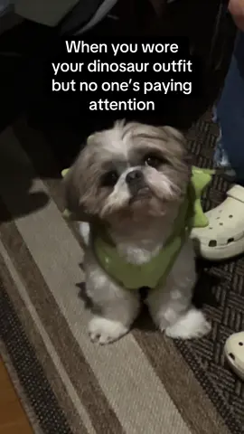 what if kagatin ko kayong lahat? 🦖🦕  #dogsoftiktok #shihtzusoftiktok #grumpydog #dinosauroutfit 