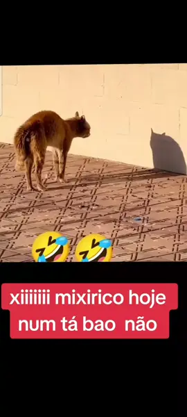 #anosatrás 