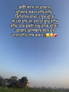 স্বামী পাশে না থাকলে দুনিয়ার সকল দামি দামি জিনিসের মধ্যে ও সুখ খুঁজে পাওয়া যায় না,,হয়তো মুখে হাসি রাখি”তবে বুকটা শুধু তাকে খুঁজে। “আল্লাহ অপেক্ষার প্রহর খুব তাড়াতাড়ি শেষ করুন.!!😞😊❤️‍🩹#fypシ゚ #foryoupage #following_me #fylpシ #fypシ゚viral 