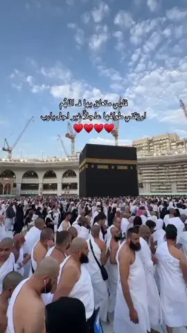 ادعولي اني ازور بيت الله الحرام 😭❤️‍🩹❤️‍🩹 هفضل كل يوم انزل فيديوهات عن مكة لحد ما أن شاء الله ربنا يكتب لينا عمرة أو حج باذن الله وربنا يرزق كل مشتاق زيارة بيت الله الحرام ❤️‍🩹❤️‍🩹❤️‍🩹❤️‍🩹❤️‍🩹  #اكتب_شيء_تؤجر_عليه🌿🕊 #صلي_علي_النبي #اللهم_صلي_على_نبينا_محمد #أكثروا_من_الصلاة_على_النبي #اللهم_ثبتنا_على_طاعتك_وحسن_عبادتك 