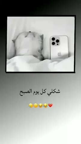 #شرين 