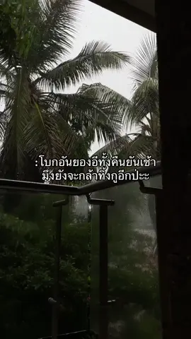#อันยองอี #อันยองอีวิตามินพลัส 