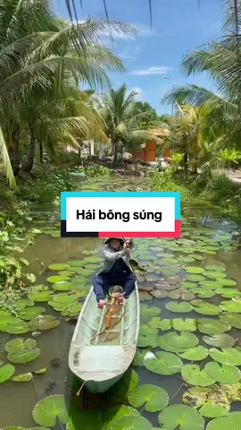 Nay xuống ao hai bông súng chấm mắm #vulaci #toanthan #maymatxa #maymassage  #ancungtiktok @Hoàng Thịnh An 