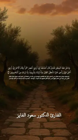 تلاوة ممتعة بصوت القارئ الدكتور سعود الفايز ♡#ياصحبي_السجن_اارباب_متفرقون #قران #سورة_يوسف #سعود_الفايز #fypシ゚viral 