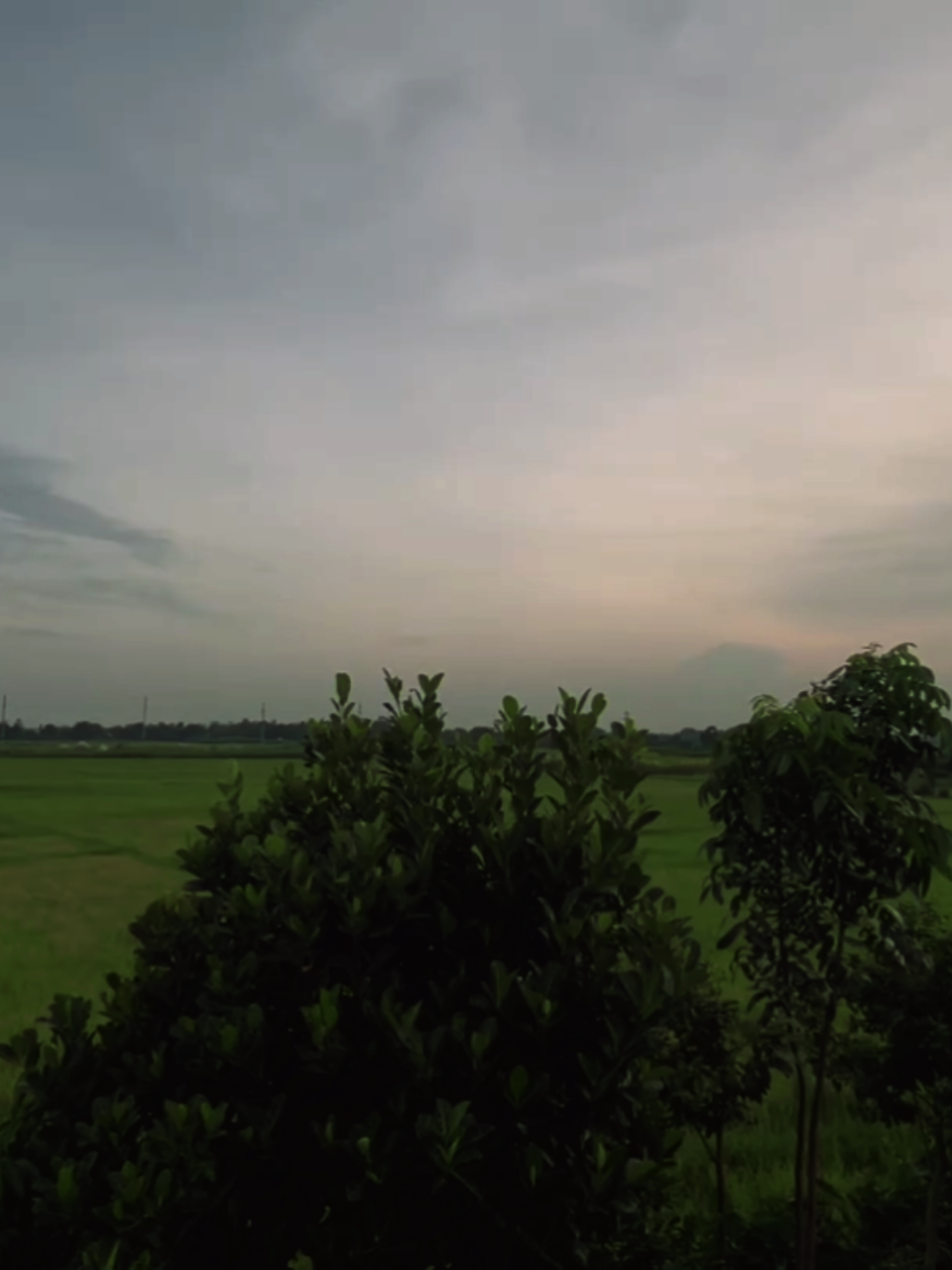 সুবহানাল্লাহ 🥹❤️‍🩹 #bangladesh #ইসলামিক_ভিডিও_🤲🕋🤲 #foryou #foryoupage 