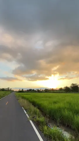 ให้อยู่นำได้บ่😢#วิวบ้านนอก🍃 #ท้องฟ้ายามเย็นพระอาทิตย์ตก🌄 #อย่าปิดการมองเห็น #ฟีดดดシ 