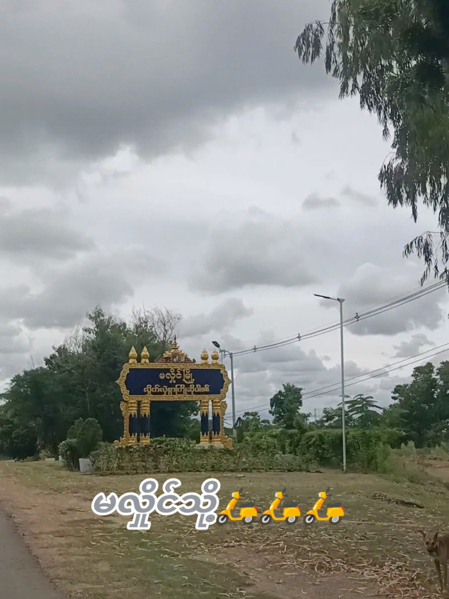 အဝေးရောက်မလှိုင်သူမလှိုင်သားများအတွက်အလွမ်းပြေစေဖို့💖💖💖အညာတောရွာမြို့‌ေလးကိုလိုက်တော်မူမလားမြို့ကြီးသားရယ်🥰🥰🥰#မလှိုင်သူလေးပါရှင့်💓💓💓 #အဝေးရောက်နေသူများအတွက် #follower #foryou #save 