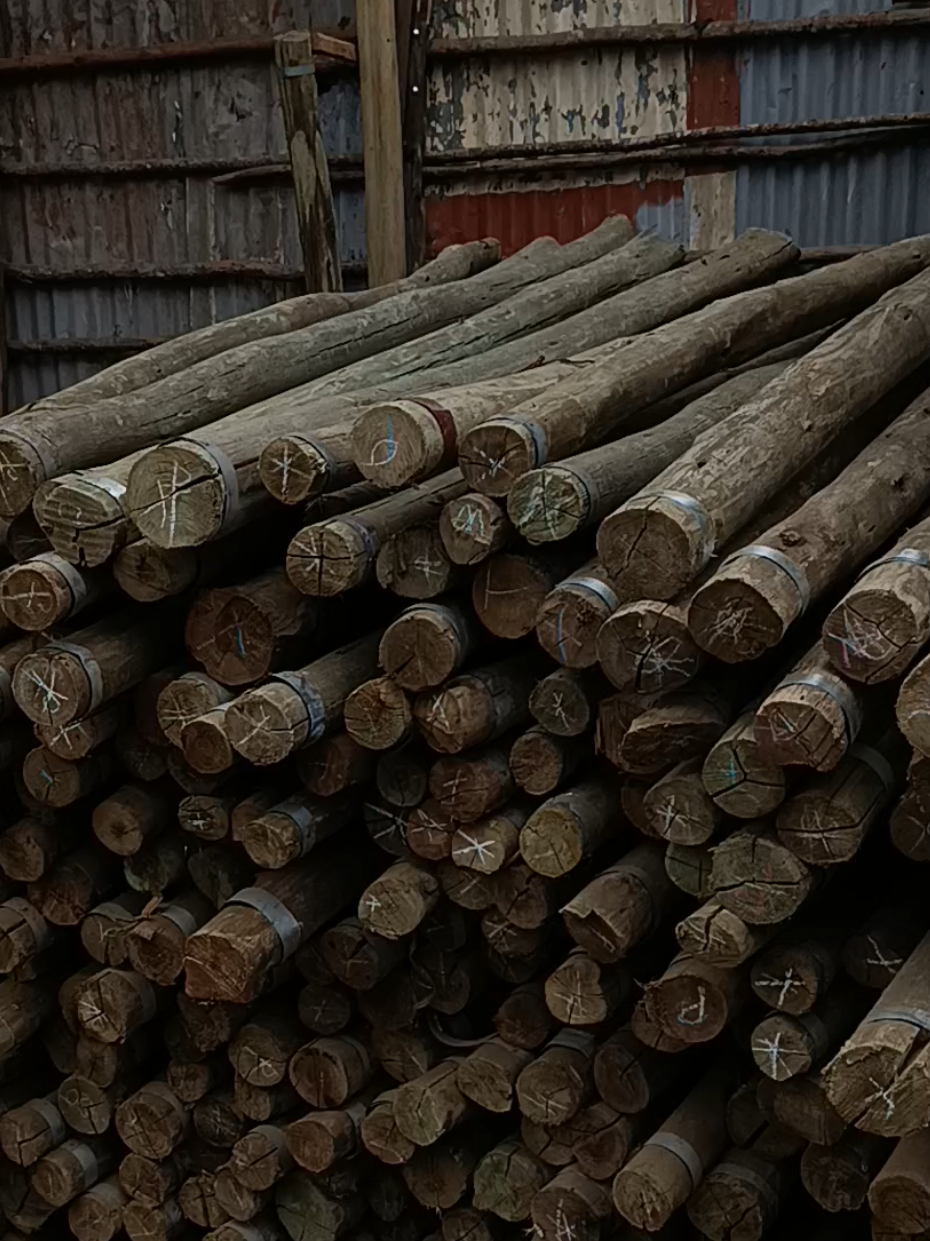 8FT Treated poles suitable for Fencing,Landscaping & structures. 📞0742437365 📌Juja town  #realestate #tiktokkenya🇰🇪 #landscaping #construction #fyp 
