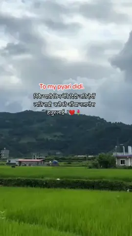 #binam #foryou #foryoupage #viralvideo 