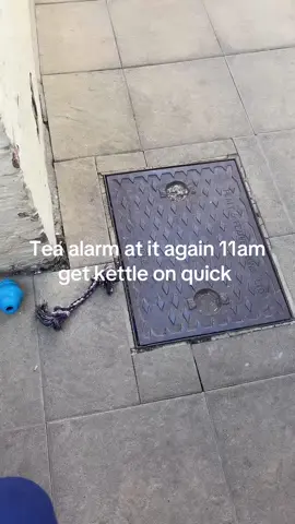 Tea alarm siren sounds whe whole of Yorkshire #tea #teaalarm 