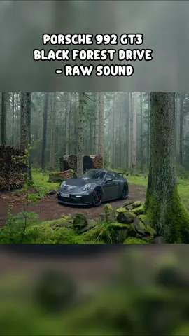Porsche 992 GT3 Black Forest Drive - Raw Sound #Porsche #Porsche992 #blackforest #cartok #carsound