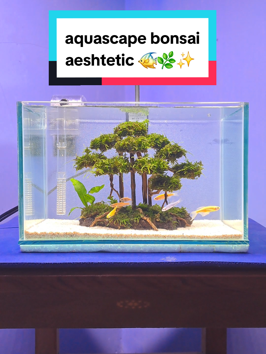 bercocok tanam dalam air 🌿 #aquascape #aquascapeindonesia #aquarium #aesthetic #fyp 