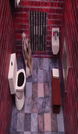 #juggtok #fyp #slimetok #slimetok #hamsters 