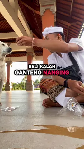 Kalah Ganteng Menang Badeng #bali #lagubali #fyp 