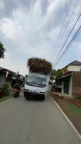 kalo mau beli aja😂#drivermuda #romansasopirtruck #storydriver @Amore_reborn 