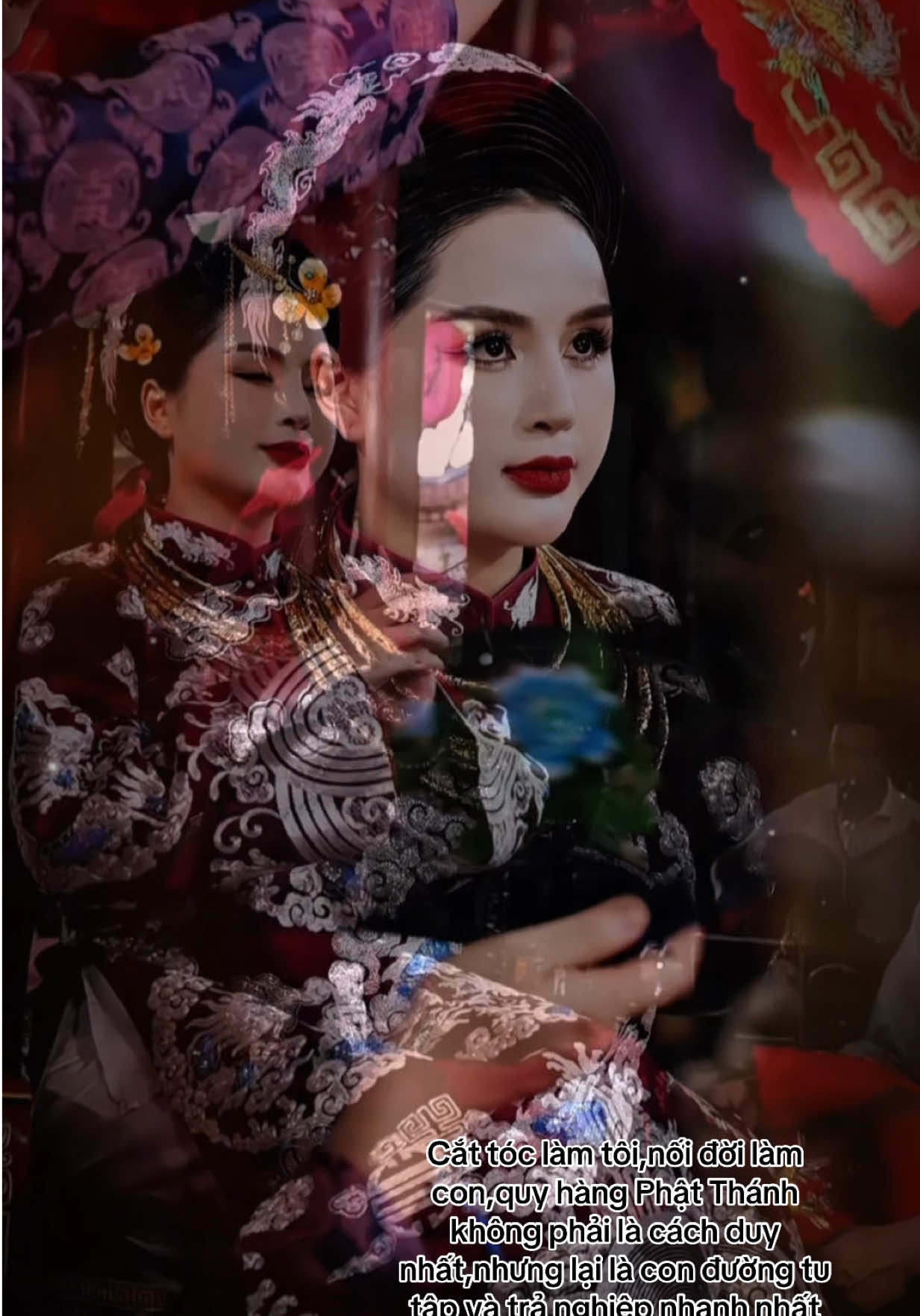#haudong #daomauvietnam 