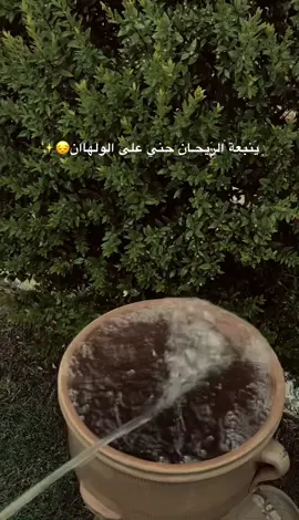 #اكسبلورexplore #لايك__explore___ #ترندات_تيك_توك #tiktok #الشعب_الصيني_ماله_حل😂😂 