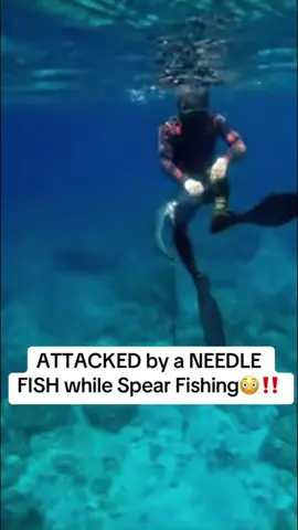 Sea fishing—dangerous an caution 🎣  #fish #sea #dangerous #crazy #fyp 