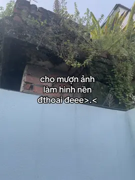 #_khanh_luan10884🐻 #ddnxuhuong #fypシ゚ #xuhuong 