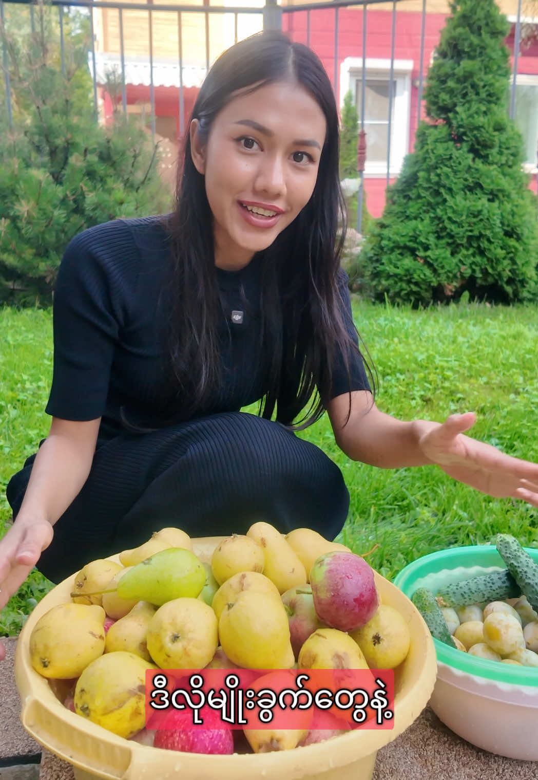 အသီးတွေက ခူးလေ ပိုကြွေလေ  🍎🍐🍓🥒  #may #garden #viral #fyp #tiktokmyanmar 