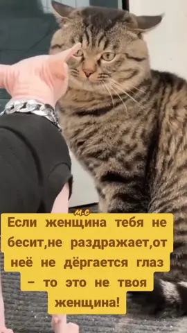 #юмор🤣🤣🤣 