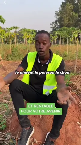#banane #agriculture #pourtoi #agriculture #cotedivoire 