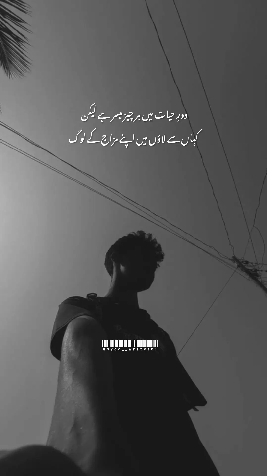 دورِ حیات میں ہر چیز میسر ہے لیکن  کہاں سے لاؤں میں اپنے مزاج کے لوگ 💔🥺 #urdupoetry #urdushayari #syco__writes01 #unfrezzmyaccount #growmyaccount @TiktokPakistanOfficial 