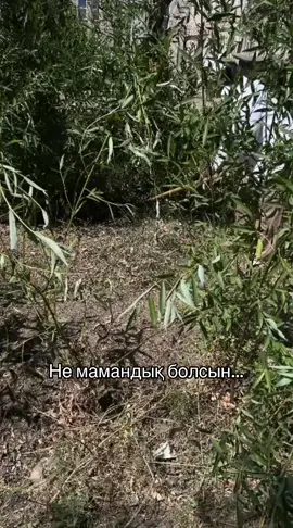 #fupシ #хочуврек #рек 