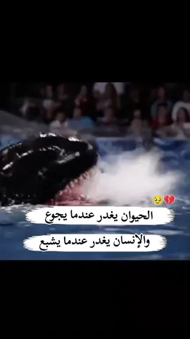 #لايكات #الشعب_الصيني_ماله_حل😂😂 