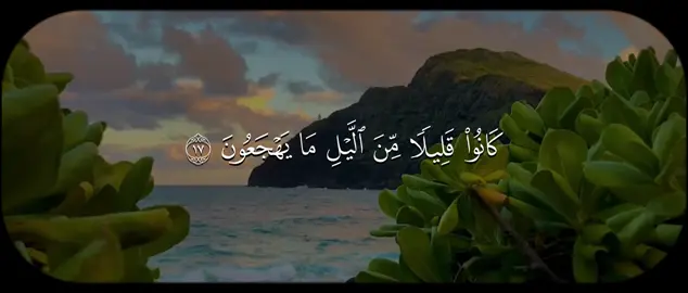 #سورة_الذاريات #سعود_الشريم #قران 