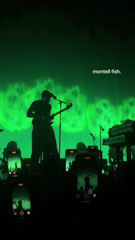 ik wil terug 😔  #montellfish #montell #altitude #melkweg #melkwegamsterdam #concert #concerts @montellfish 