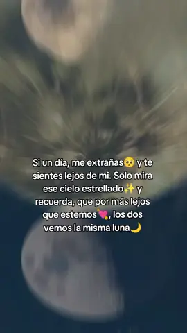 #Solo Para Tiiiiiiiii#Te La Dedico#Amor❣️ #I Love You😍❤️#TuLuna🌙 