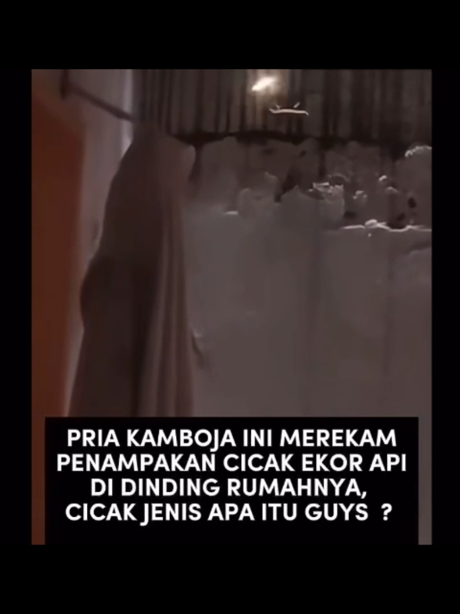 pria ini merekam keberadaan cicak yang mempunyai ekor api, kalian pernah liat ga geng?#fyp #viral #terbaru #fenomena #cicak 