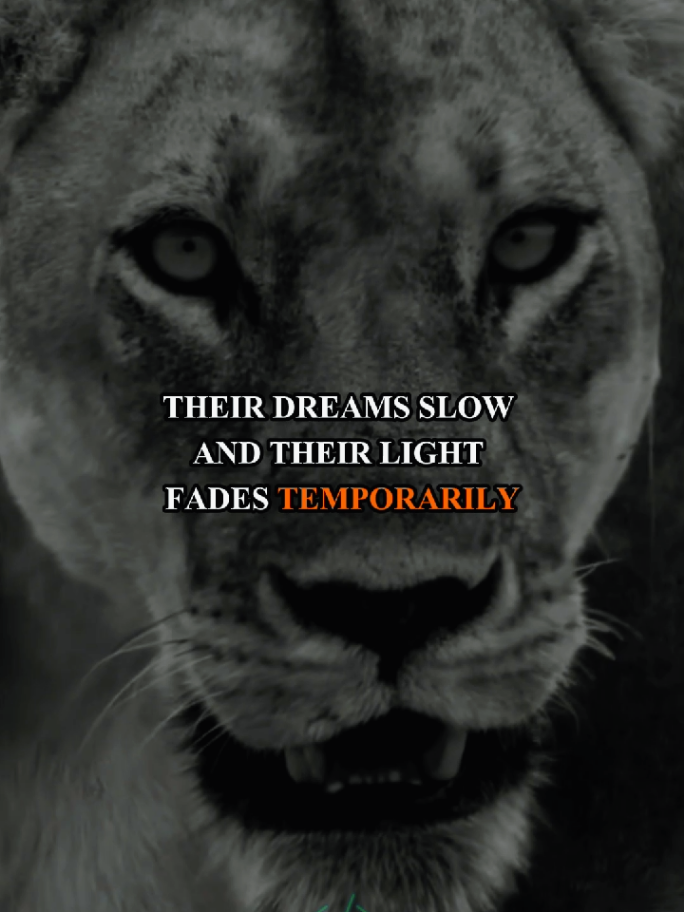 #LIVEIncentiveProgram #LIVEStory #PaidPartnership  in every family there is a dreamer #motivation #lion 