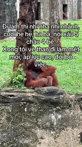 Ai cũng có 1 quãng thời gian như này #GreenCreator #VinWonders #WonderSummer2025 #dulich #cka4u48 