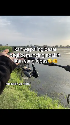 selamat berenang dilautan fakta#fbryan_ #mancingliar #fyp #foryou 