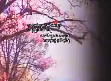 #အမေသမက်လေးရှာတွေ့ပြီ အမေရေ💕🤭#မင်းတို့ပေးမရမယ့်သူပါကွာ❤️🥺 
