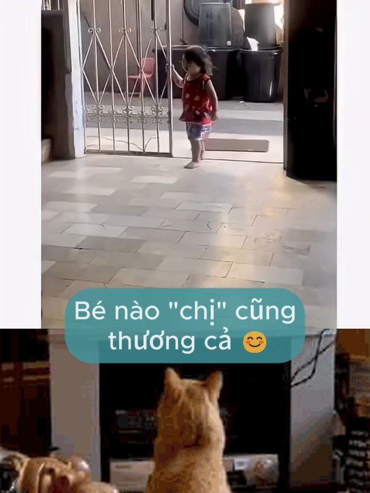 Các tình iu của chụy #haihuoc #thịnhhành #giaitri