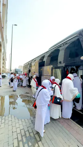 #ظہیر #ڈرائیور_گروپ_مکہ_مدینہ #bus_driver_makkah_madina #100kflowers_bus_driver_ksa 