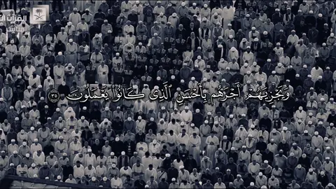 #ياسر_الدوسري #قرآن #سورة_الزمر #تلاوة_خاشعة 
