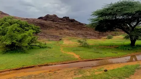#2025⛈️🌧🌩☘️ #اجواءأم لبعراليوم🌧☁️✨️🌳☘️🏞⛰️