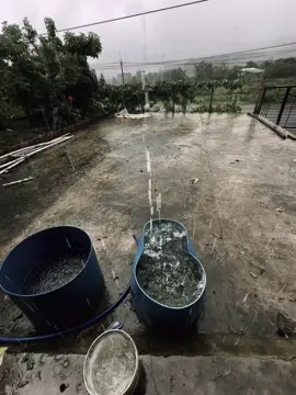 手里捧着的花，依然是大地之花，即使天地震动，你心里的那个人依然爱你 