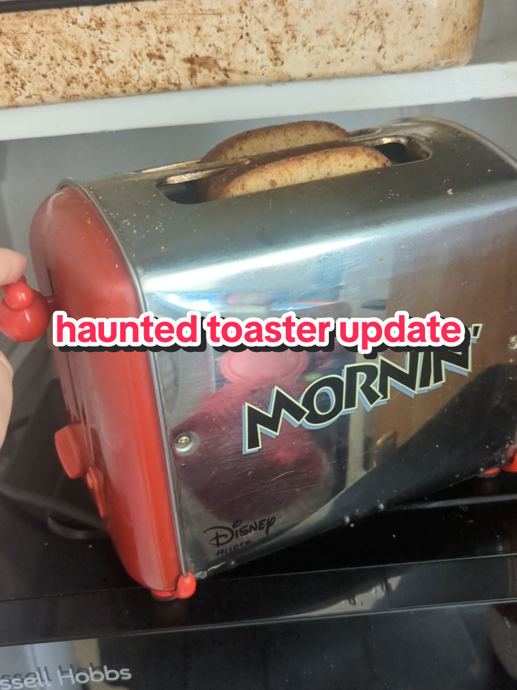 Uncut toaster footage for your feed today because it's been a while. It's gluten free bread, I don't know why it played the song perfectly at the end, no you can't buy it from me.