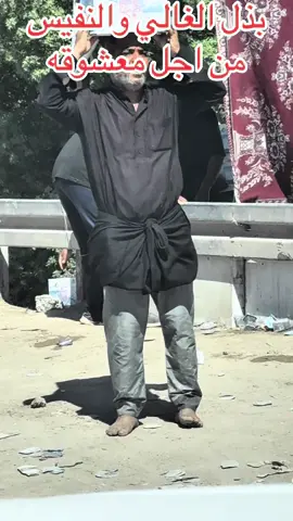 #زيارة_الأربعين 