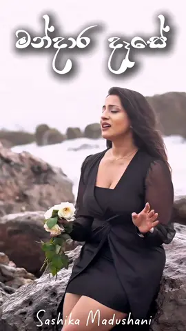 මන්දාර දෑසේ 🖤  Releasing This Friday #fypシ #foryoupage #sashikamadushani #srilankan_tik_tok🇱🇰 #viral 