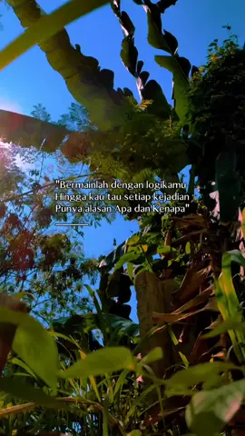 Mainkan sedikit Logika.. #katakata #storytime  #quotes #logika #vibes #fy #bangvihans 
